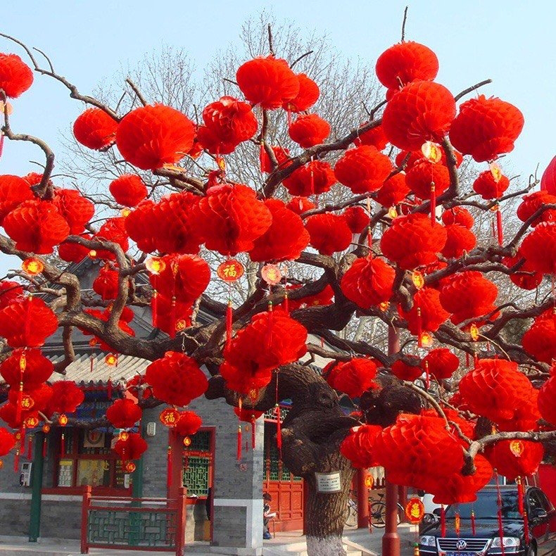 Cách treo nhiều đèn trên cây cho không gian lễ hội rực rỡ