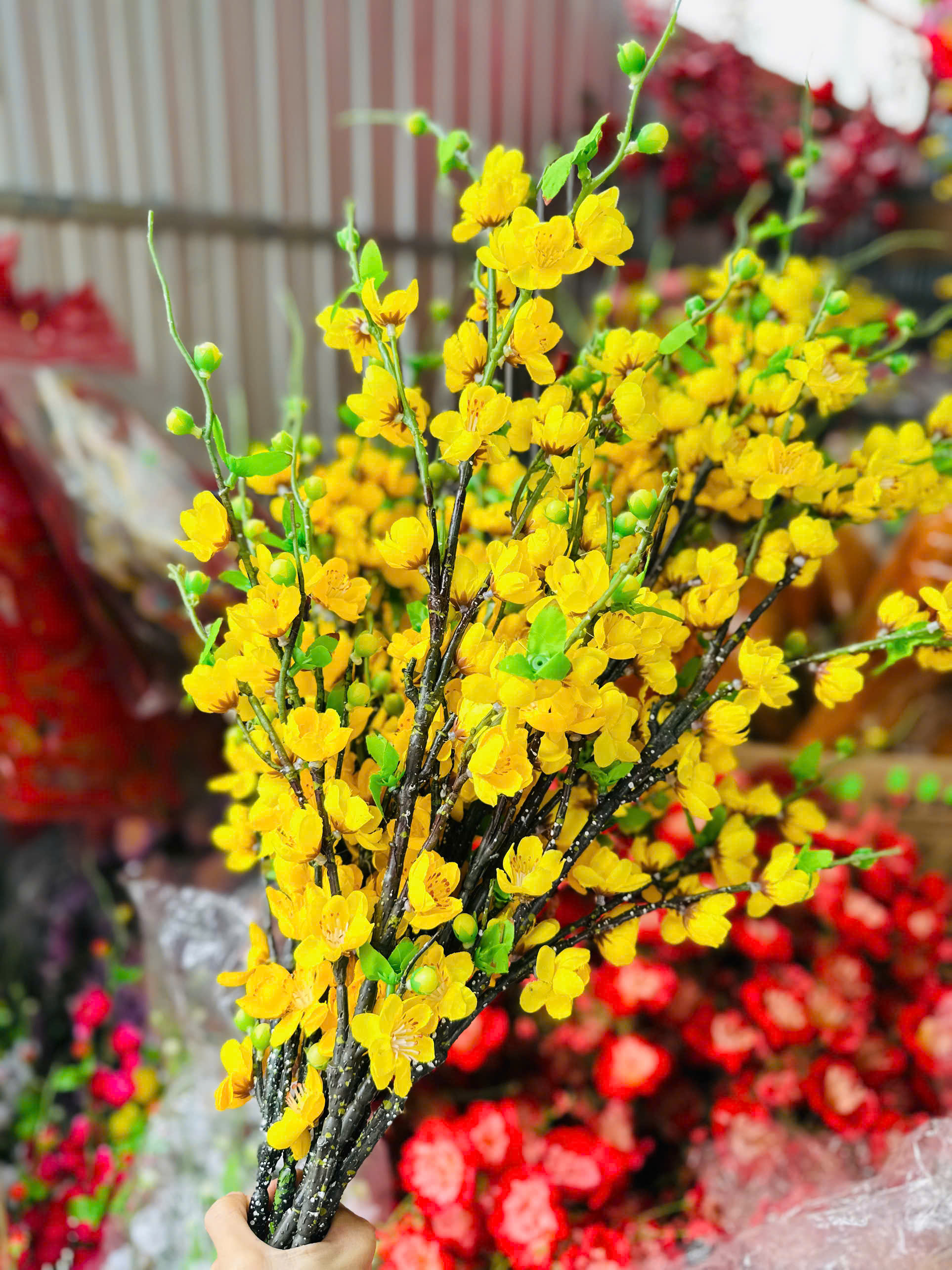 Cận cảnh phần hoa nở dày trên thân cành