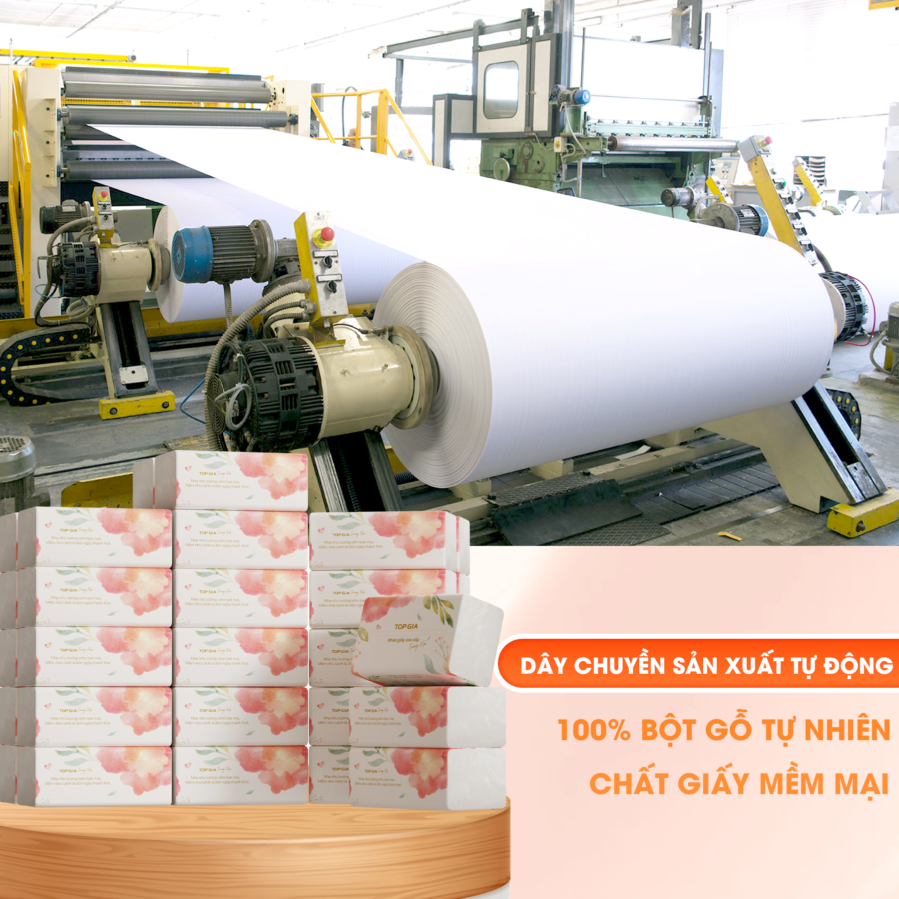 Hình minh họa chất liệu từ bột gỗ tự nhiên và dây chuyền sản xuất