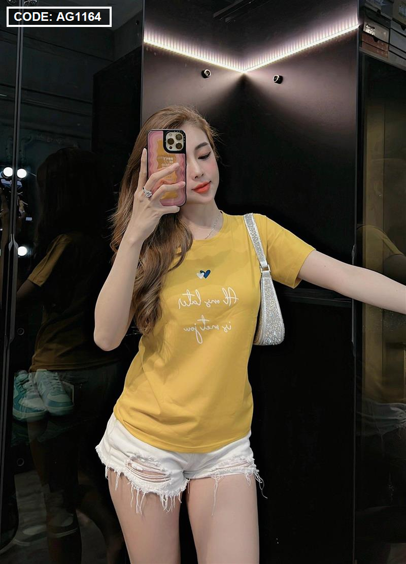 Áo thun nữ thun thái form rộng in hoạ tiết trái tim freesize