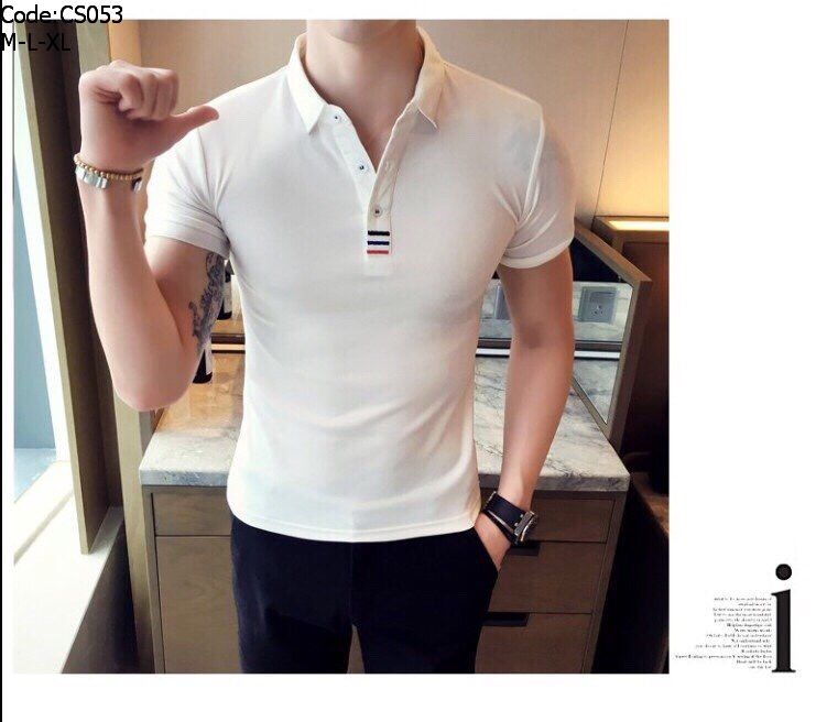 Áo polo nam thêu 3 sọc đỏ xanh thun cá sấu 4 chiều