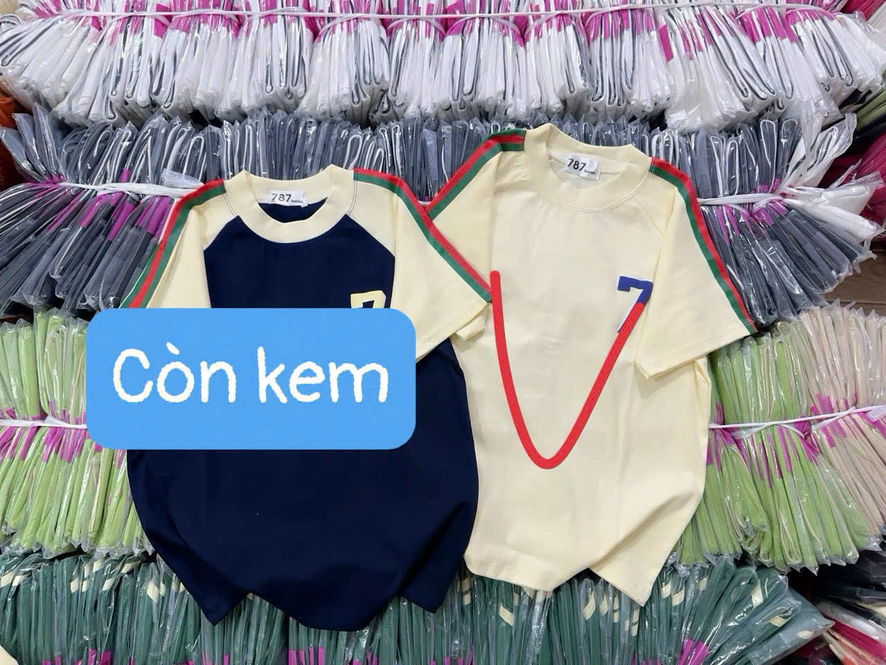 Áo Thun Nữ Baby Tee Form Ôm Body
