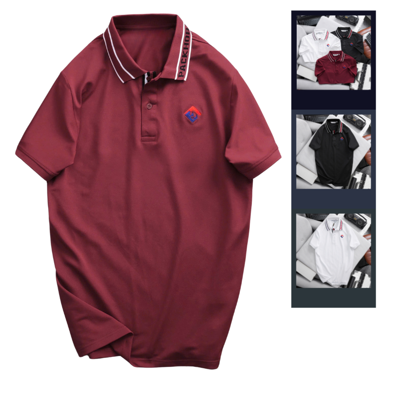 Áo Thun Polo Nam - Áo Thun Nam Cổ Bẻ Thêu Logo Trước Ngực Và Phối Sọc Chữ Cổ Áo Bền Đẹp Có Big Size – một lựa chọn đáng tham khảo trong áo thun polo nam
