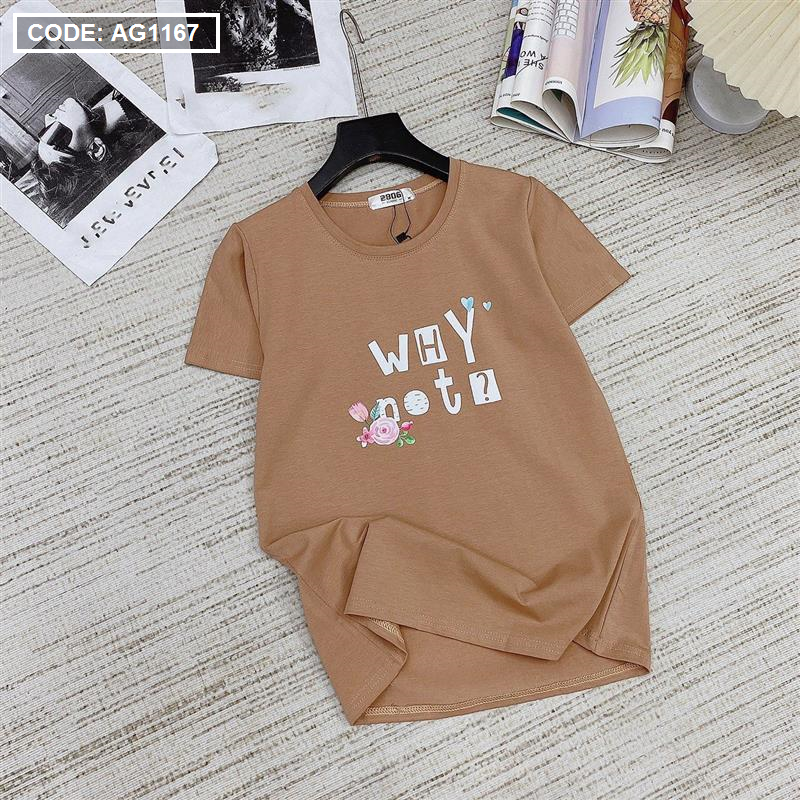 Áo thun nữ thun thái form rộng in chữ Why Not freesize