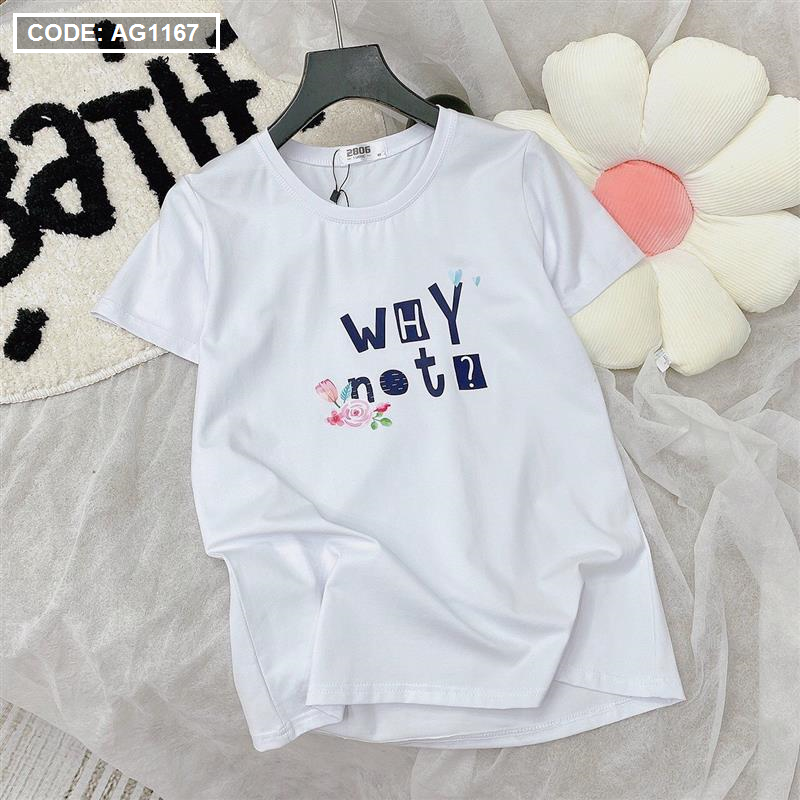 Áo thun nữ thun thái form rộng in chữ Why Not freesize