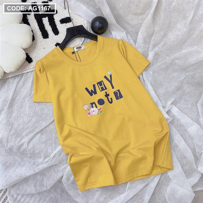 Áo thun nữ thun thái form rộng in chữ Why Not freesize