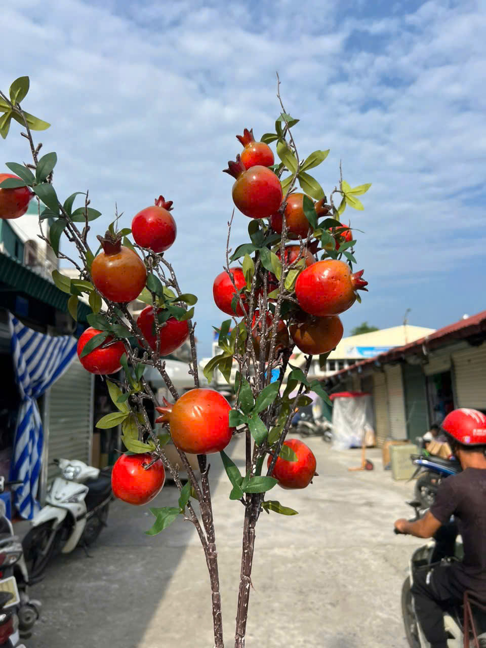 Cành Lựu 7 Trái Mọng Đỏ Cắm Bình Trang Trí Không Gian Sống