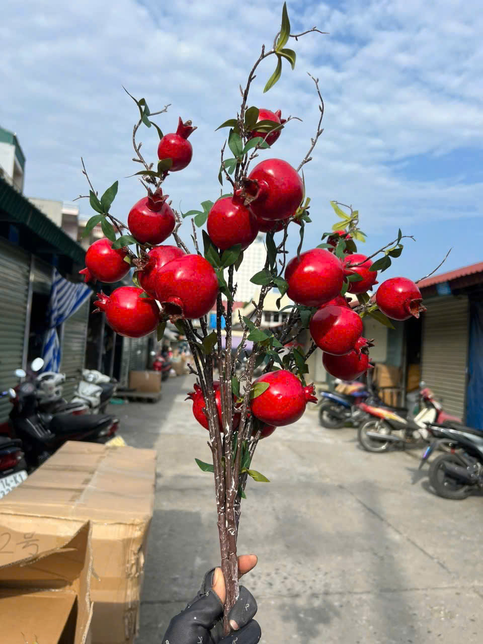 Cành Lựu 7 Trái Mọng Đỏ Cắm Bình Trang Trí Không Gian Sống