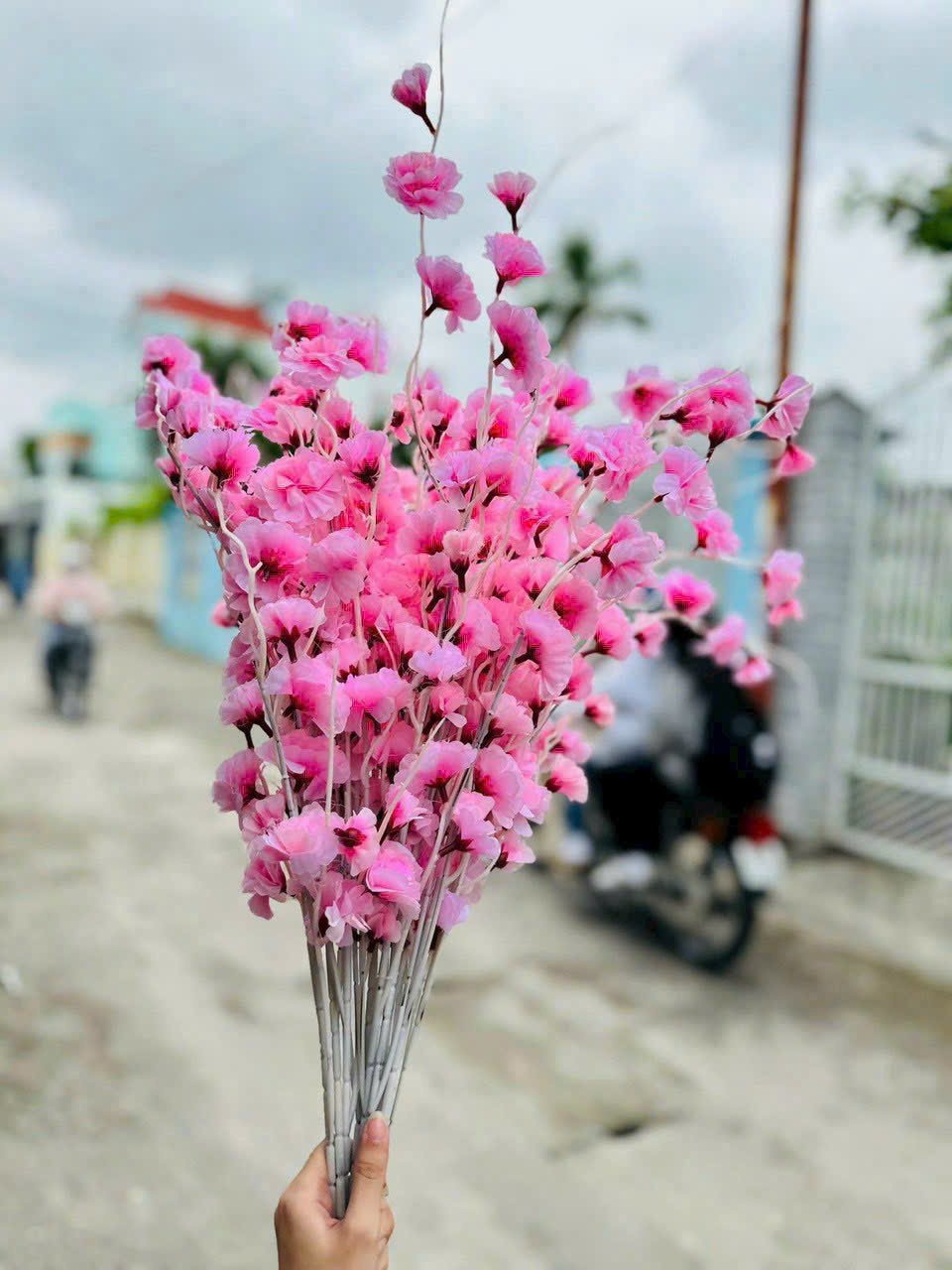 Combo 10 Cành Đào Râu Nhiều Màu