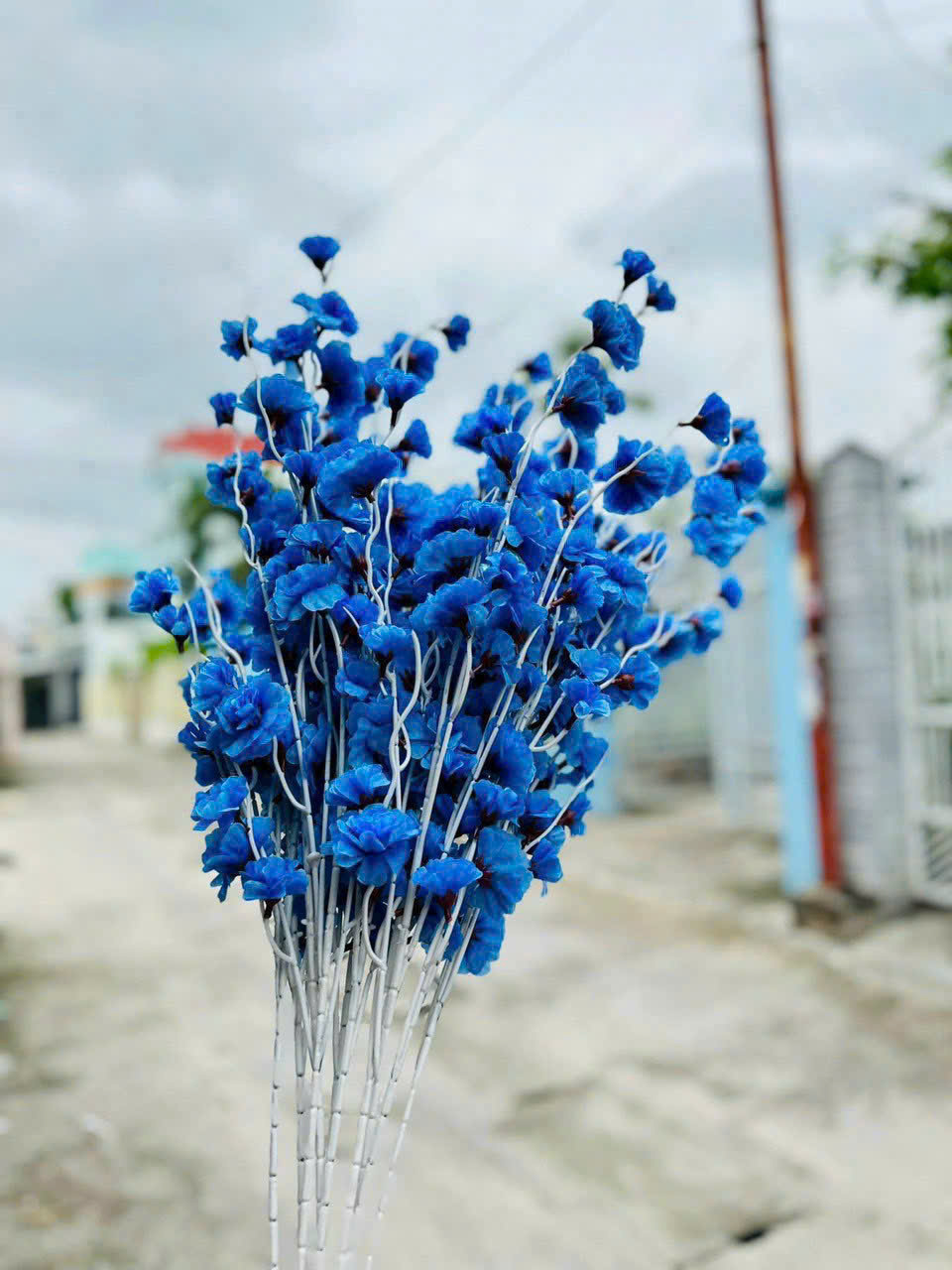 Combo 10 Cành Đào Râu Nhiều Màu