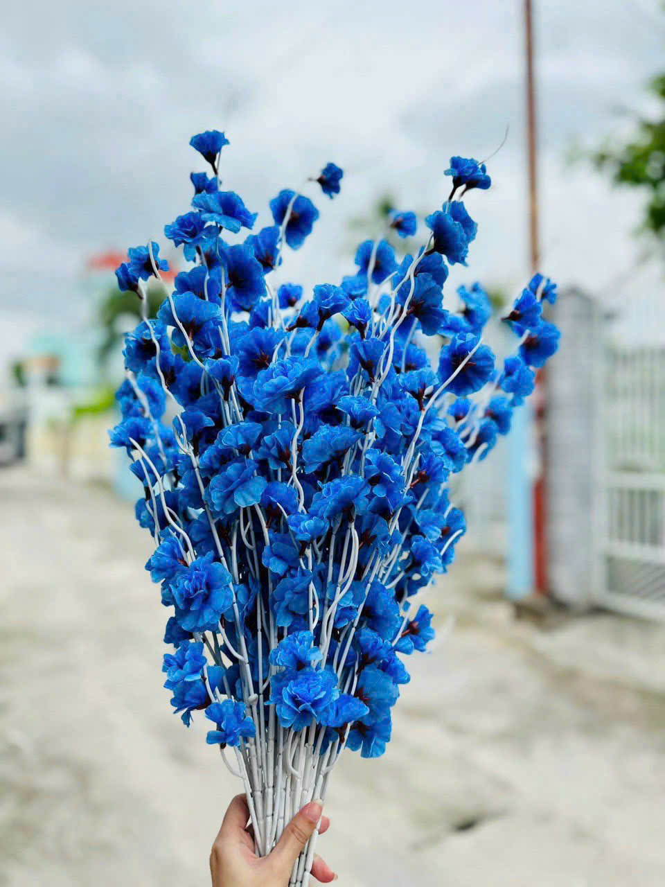 Combo 10 Cành Đào Râu Nhiều Màu