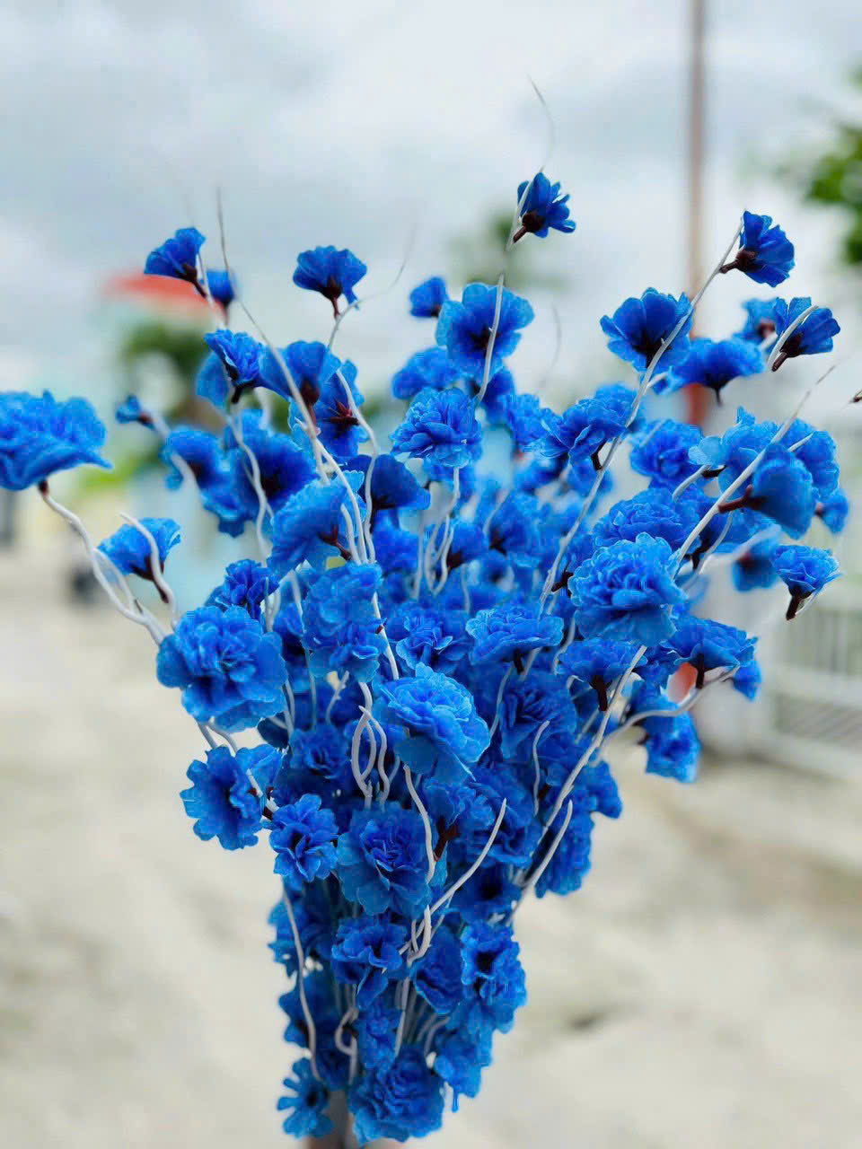 Combo 10 Cành Đào Râu Nhiều Màu