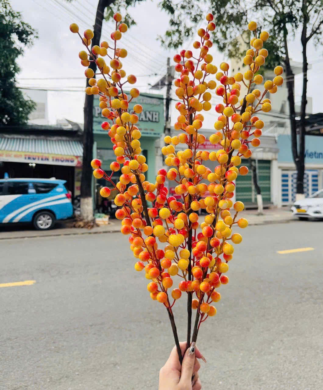 Combo 10 cành đông đào vàng 12 nhánh