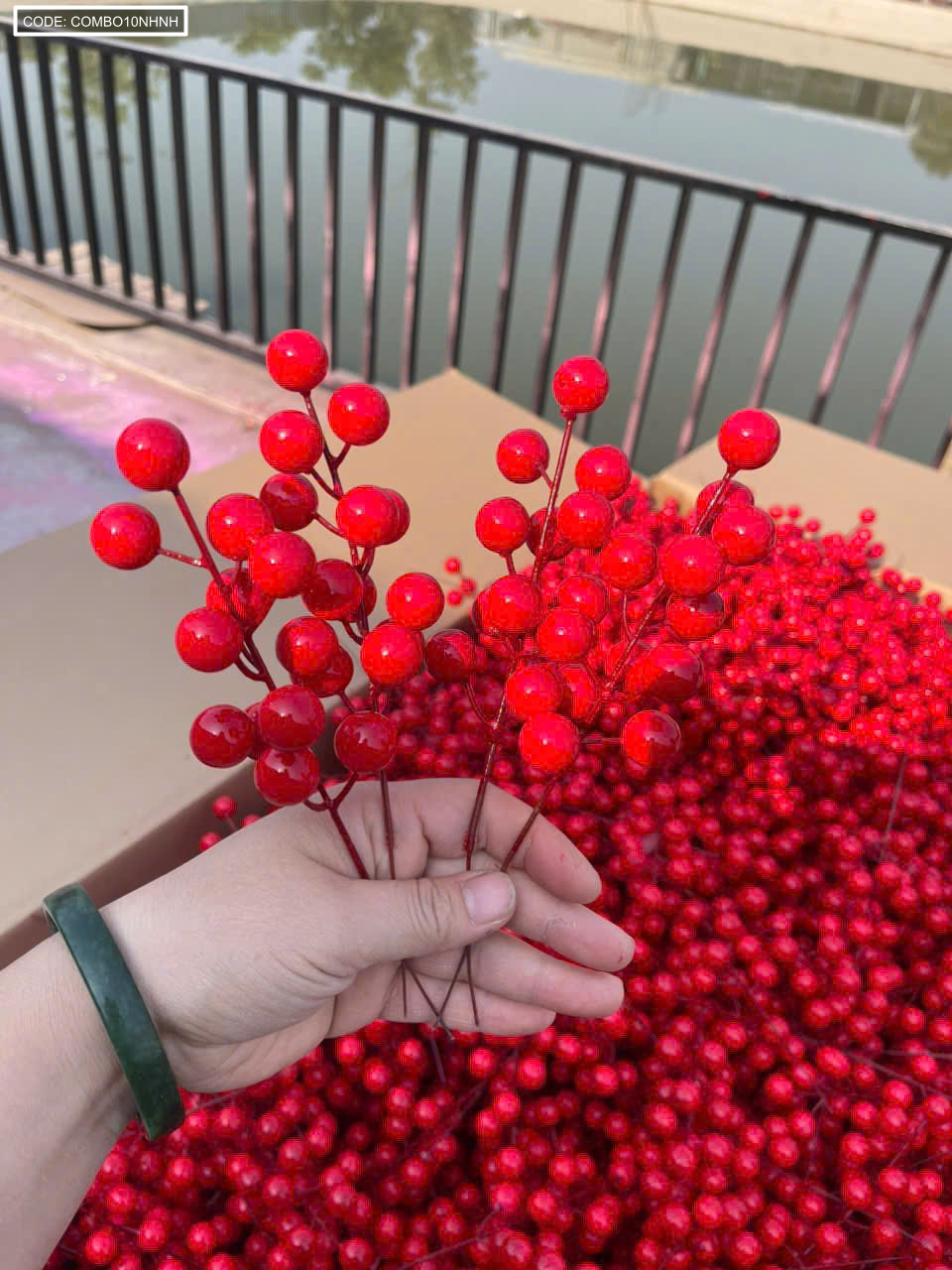 Cận cảnh nhánh nhỏ với chùm quả đỏ tròn bóng