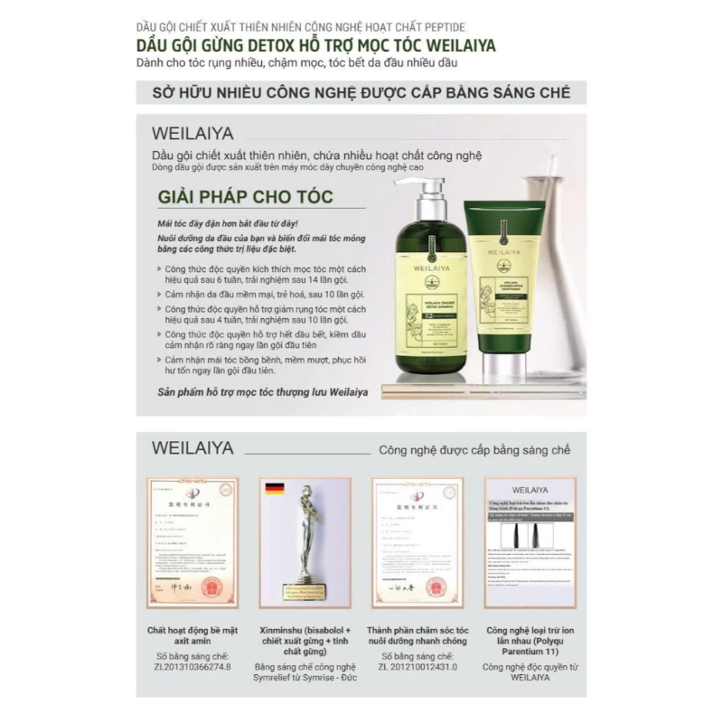 Combo Dầu Gội Xả Gừng Weilaiya Màu Xanh Zingiber Detox X2 Ginger Essence
