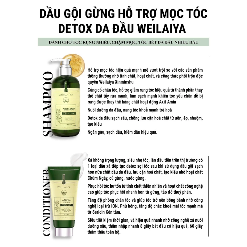 Hình ảnh combo dầu gội – dầu xả gừng Weilaiya tông xanh