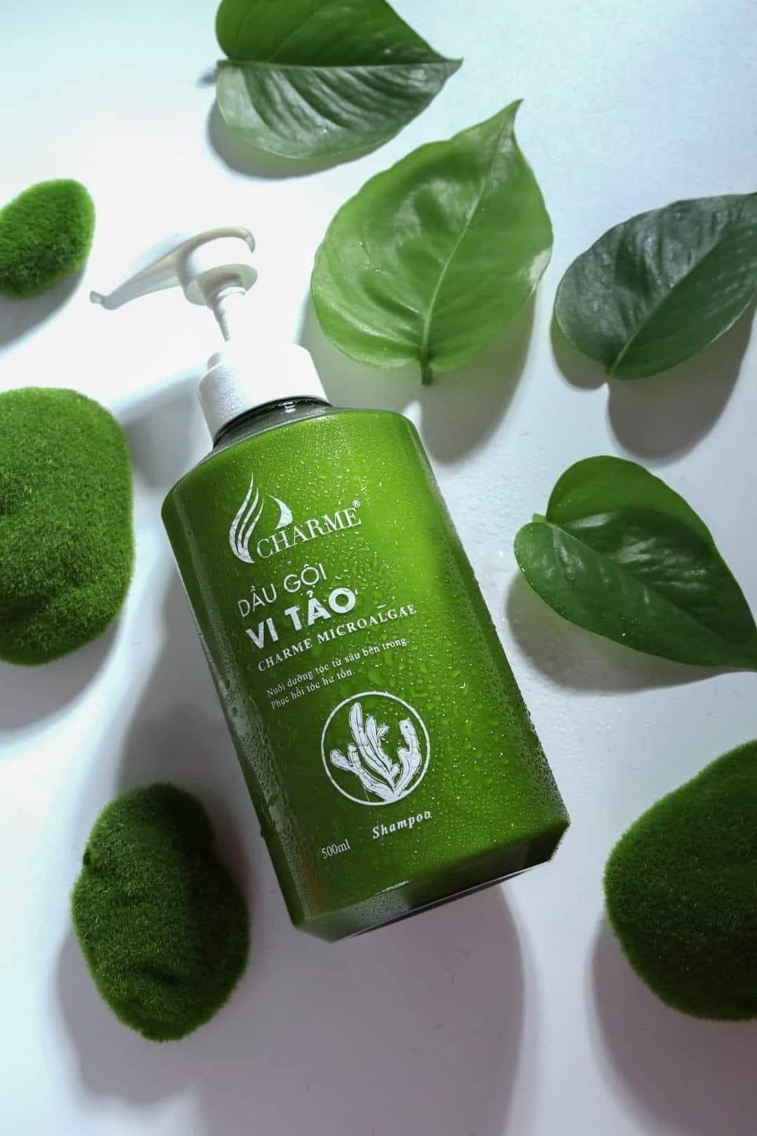 Combo Gội Xả Vi Tảo Charme Microalgae Tặng Xịt Tóc