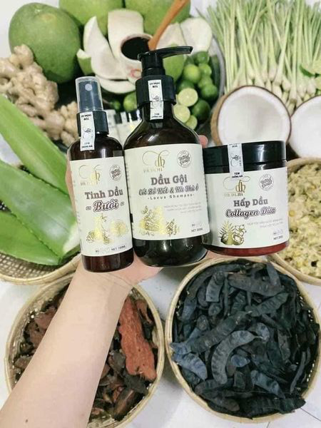 Combo Gội Xả Xịt Bồ Kết Bưởi Dừa Dr Di Hi