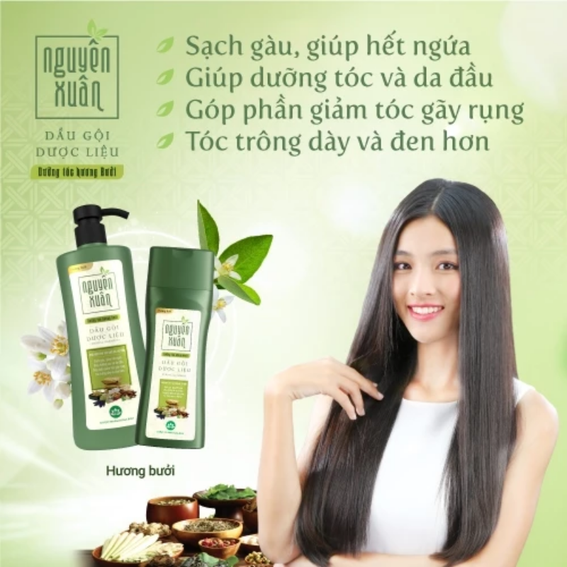 Minh họa nhu cầu chăm sóc tóc khô xơ, dễ gãy rụng