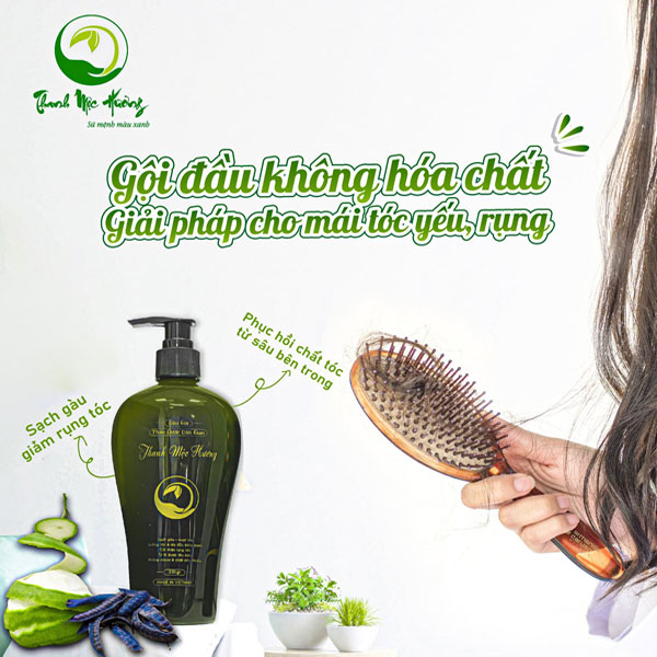 Hình chai dầu gội và thông điệp chăm sóc tóc yếu, dễ rụng