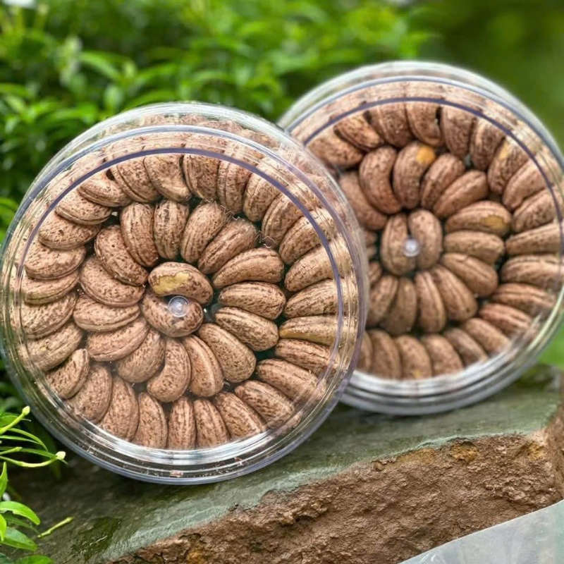Hạt Điều Rang Muối Xếp Hoa 500g Bình Phước