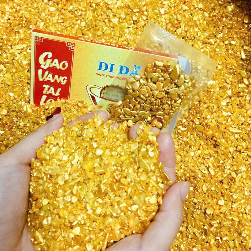 Cận cảnh hạt gạo vàng ánh kim trong túi và trên tay