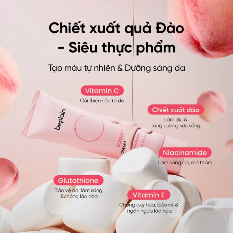Các thành phần được nhấn mạnh trên hình minh họa
