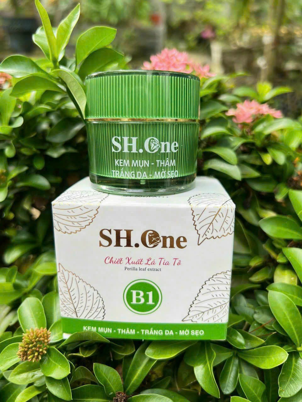 Hũ kem và bao bì nhận diện dòng chiết xuất lá tía tô
