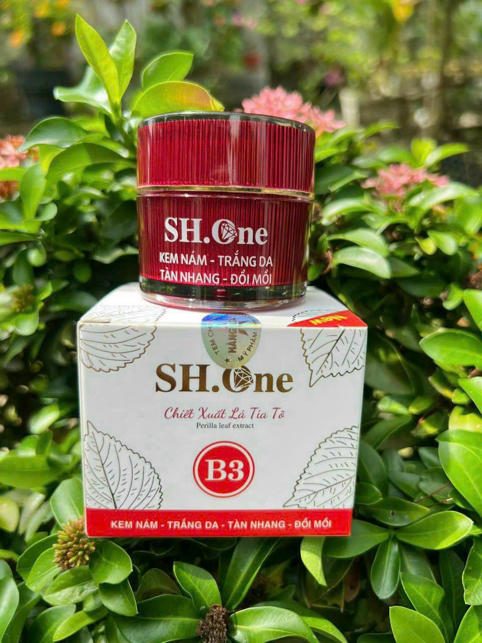 Hình sản phẩm với hũ đỏ và hộp trắng nhận diện dòng B3 lá tía tô