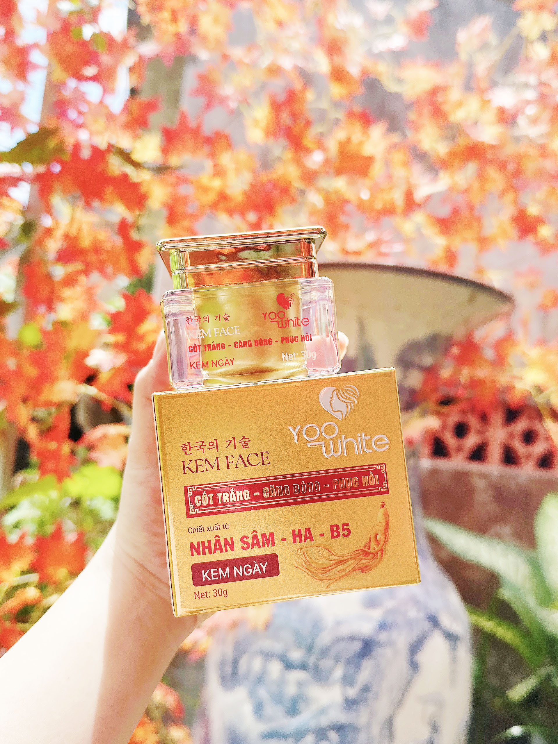 Bao bì ghi chiết xuất Nhân Sâm, HA, B5