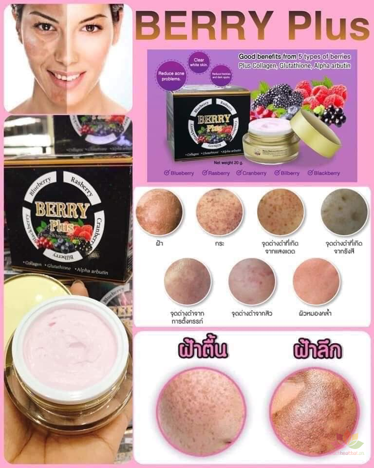 Hình minh họa 5 loại quả mọng và công dụng được giới thiệu
