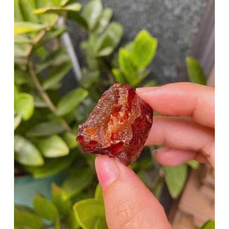 Táo Sấy Dẻo Không Hạt Hộp 500g