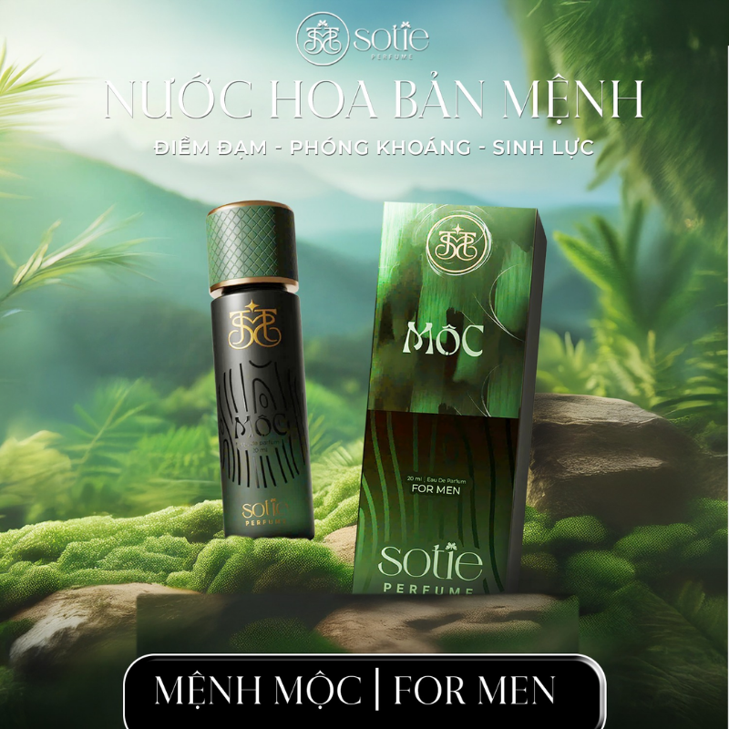 Hình ảnh sản phẩm trong bối cảnh thiên nhiên gợi tinh thần Mộc