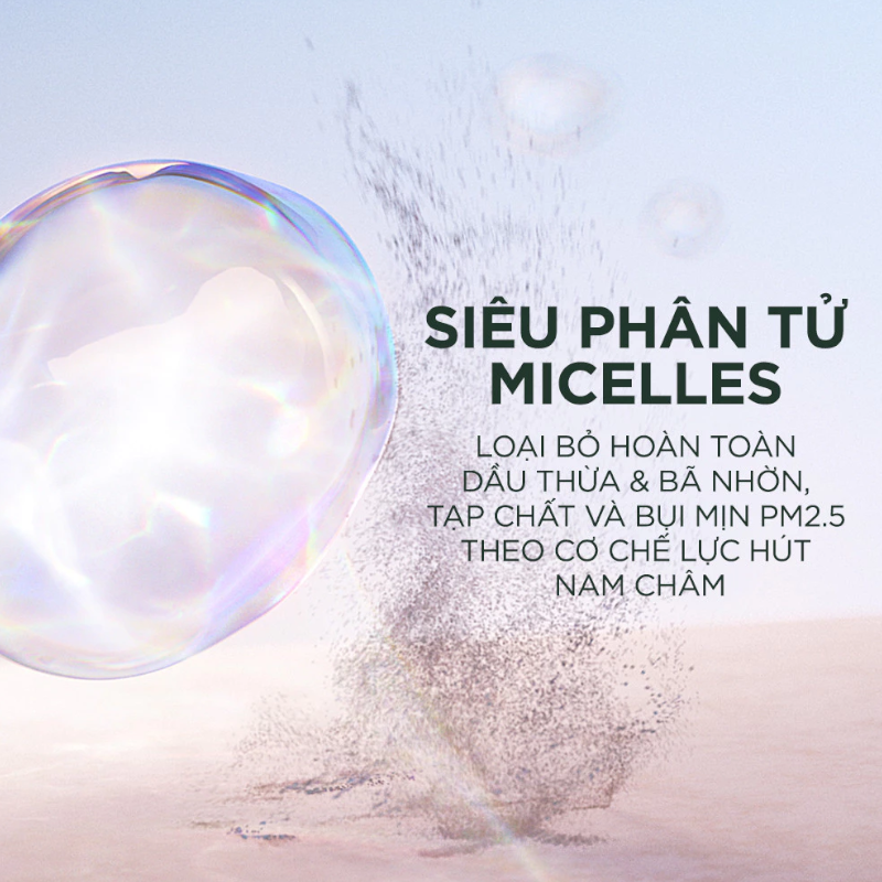 Nước Tẩy Trang Garnier Micellar Cleansing Water Salicylic BHA Cho Da Dầu Mụn 400ml