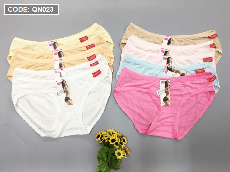 Combo 10 quần lót nữ thông hơi size lớn