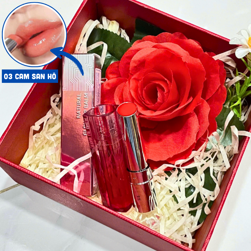 Minh họa sắc son 03 cam san hô