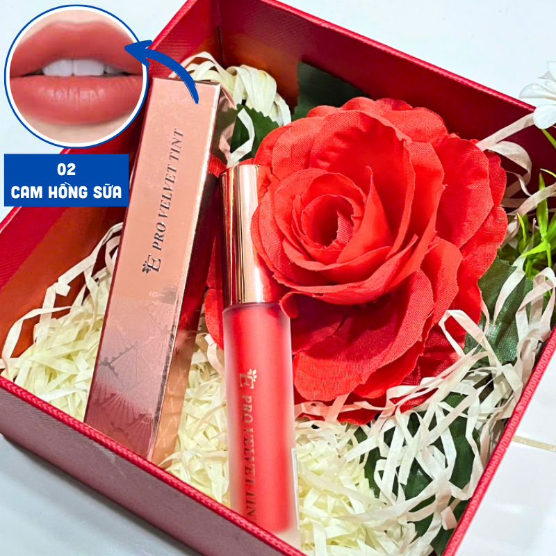 Chi tiết thực tế qua hình ảnh