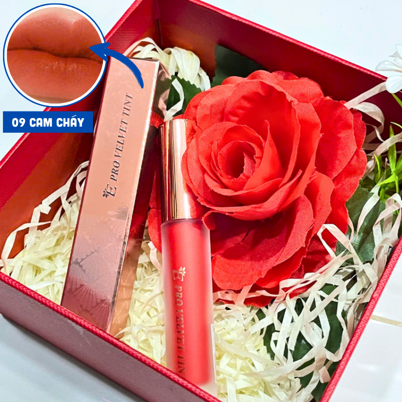 Set hộp quà son kem nhung lì Embisu Pro Vel Tint 10 màu – hộp hoa rơm nhiều màu