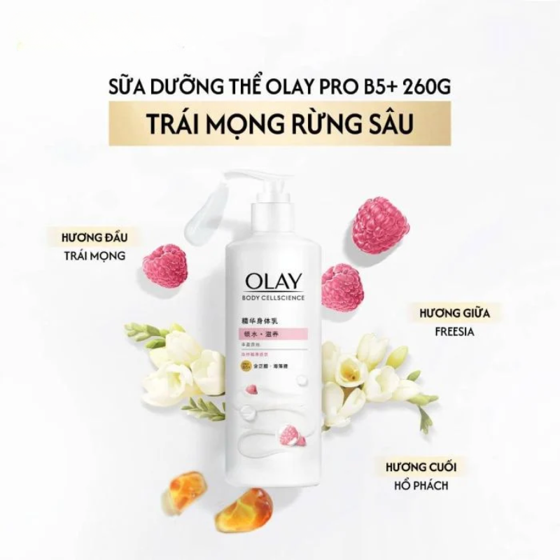 Minh họa các tầng hương trái mọng, freesia và hổ phách
