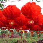 1 Bịt 10 LỒNG ĐÈN GIẤY( F25 / 20CM )