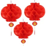 1 Bịt 10 LỒNG ĐÈN GIẤY( F25 / 20CM )