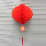 1 Bịt 10 LỒNG ĐÈN GIẤY( F25 / 20CM )