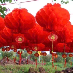 1 Bịt 10 LỒNG ĐÈN GIẤY ( F35 / 30CM )