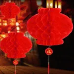1 Bịt 10 LỒNG ĐÈN GIẤY ( F35 / 30CM )