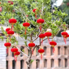 1 Bịt LỒNG ĐÈN NHUNG - Bịch 16 Trái 08