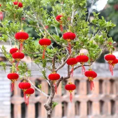 1 Bịt LỒNG ĐÈN NHUNG - Loại Bịt Hoặc 25 Trái