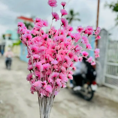 1 CÀNH ĐÀO RÂU