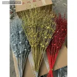 1 CÀNH CHÂU XOÈ KIM TUYẾN