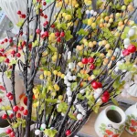 1 CÀNH CHERRY CỔ