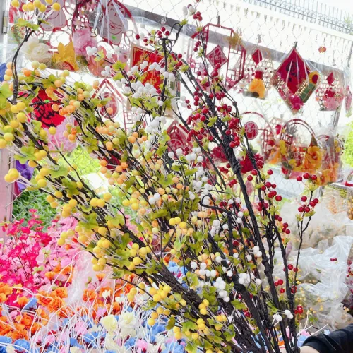 1 CÀNH CHERRY CỔ